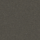 Blended - Spice